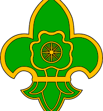 स्काउट गाइड शिविर में दी व्यावहारिक गतिविधियों की जानकारी