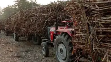 सिम्भावली मिल के गन्ना ट्रक यार्ड के बाहर स्थानीय दुकानदारों द्वारा प्रदर्शन