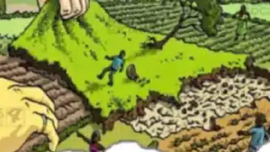 अरबों रुपये की सरकारी भूमि पर अवैध कब्जे की जांच एसआईटी द्वारा