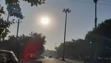 धूप निकलने के बावजूद भी चलती रहीं तेज हवाएं, तापमान एक डिग्री सेल्सियस गिरा