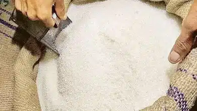 त्योहार के मद्देनजर अंत्योदय राशन कार्ड धारकों को होली से पहले मिलेगी चीनी