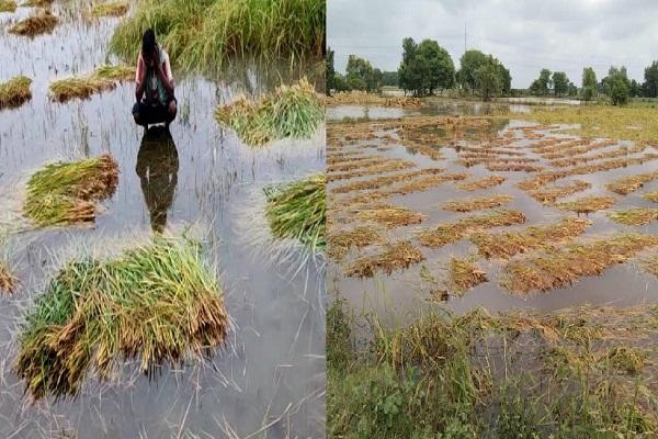 बेमौसम बारिश व आंधी से किसानों का हुआ नुकसान