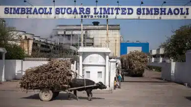 सिंभावली शुगर मिल में आज समाप्त हो जायेगा पेराई सत्र