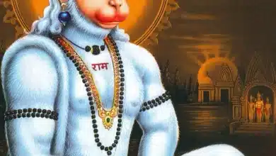 जिले में हनुमान जन्मोत्सव बड़ी धूमधाम से मनाया गया
