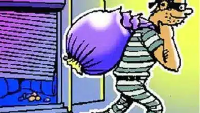 कीटनाशक उत्पाद बनाने वाली कंपनी से 4 लाख का सामान चोरी