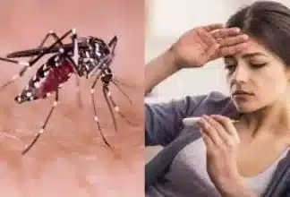 जनपद में शुरू हुए मलेरिया के मरीज, मचा हड़कंप